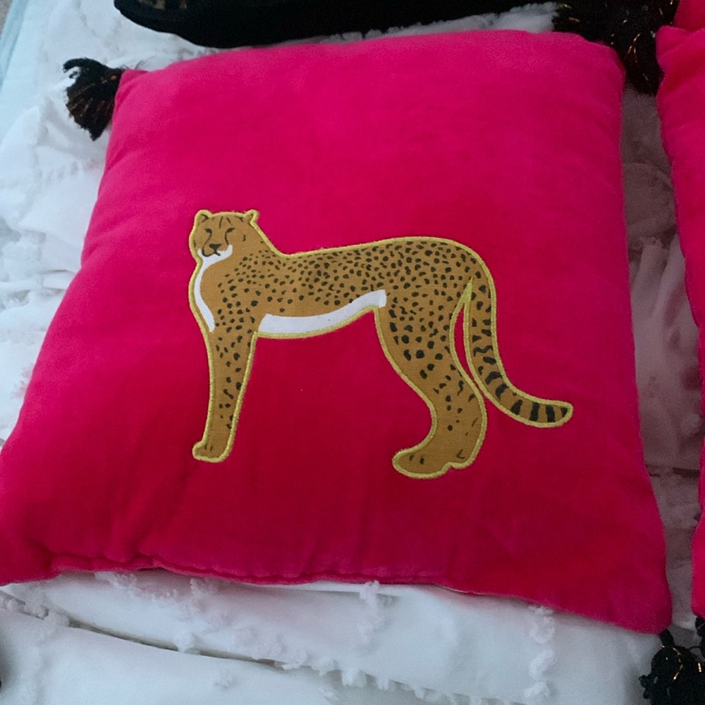 Cheetah pillows!